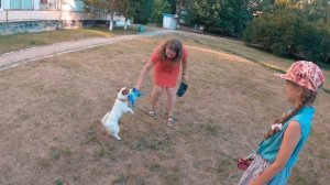 Как видят собаки?!!! Различают ли собаки цвета? Особенности зрения у собак.