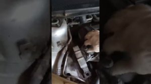 Замена подушки двигателя Форд Фокус 2