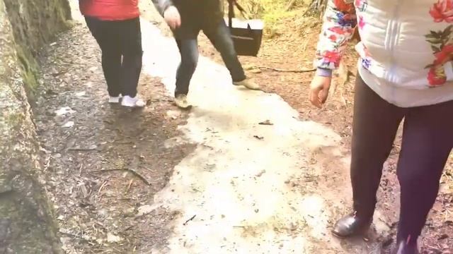 Столбы смотреть онлайн