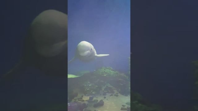 Day at the Sydney Aquarium