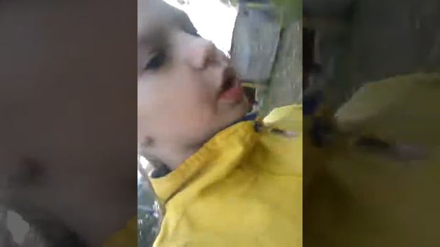 защита животных