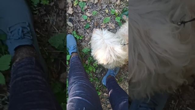 Первые дни Харлюшки с нами 🥰🙏