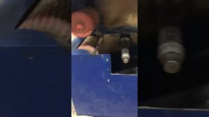 Линия переработки тонкомера. Как сделал её я!