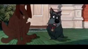 ЖУЧКА. Шуточная песенка.