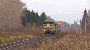 "Как в былые времена..." 2ТЭ116К-1113 с пригородным поездом Предтурье - Алапаевск