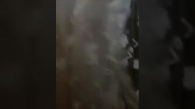 Куклы жиних и невеста смотреть онлайн