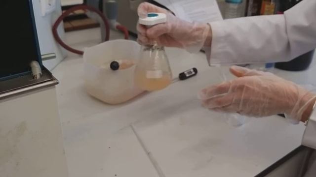 Nitrobenzen sentezi (Nitrobenzene synthesis) смотреть онлайн