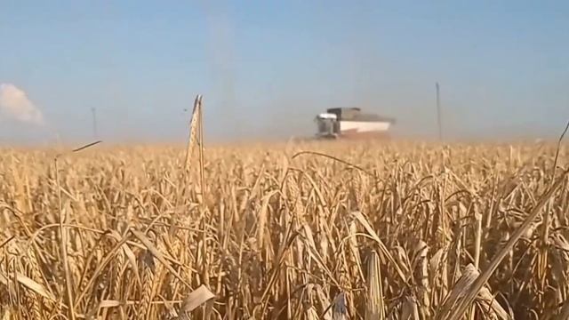 Мощный видеоклип о сельском хозяйстве в 2023 году!