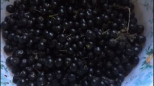 Санберри - варим джем