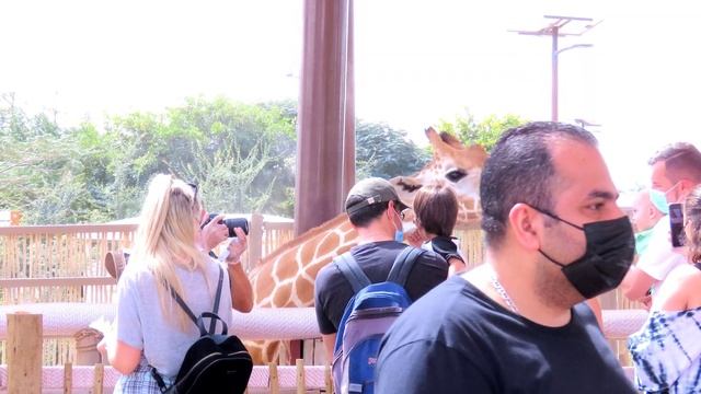 Dubai safari park #Adventure | Dubai zoo full tour