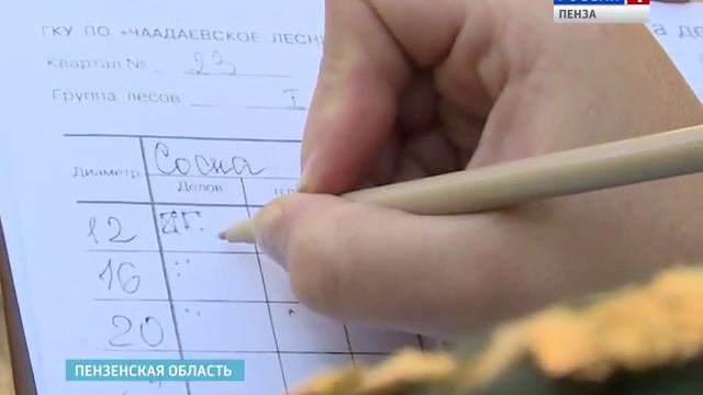 Несколько деревьев Пензенской области претендуют на статус памятников природы смотреть онлайн