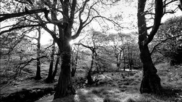 Sohrab Sepehri смотреть онлайн