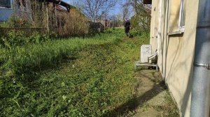 Husqvarna 555 RXT brushcutter