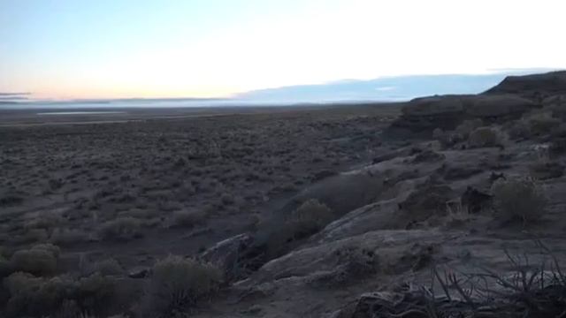 Жестокий охотник убил волка смотреть онлайн