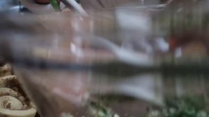 I COOKED THIS BREAKFAST WITH BACON ? | ZO #KITCHEN