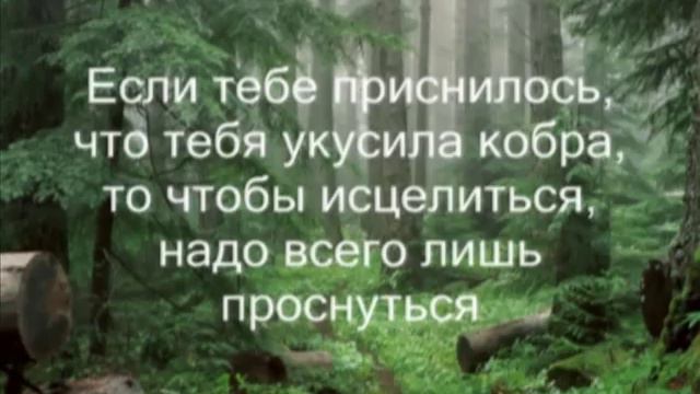 SAI BABA :: МУДРОСТЬ смотреть онлайн