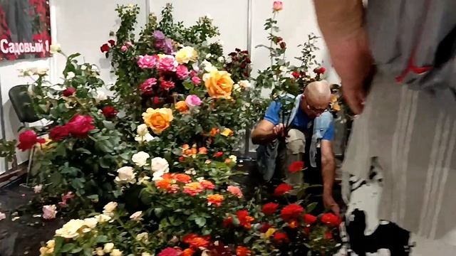 С нами на "огородную выставку". Надегустировались) Получили подарки. смотреть онлайн