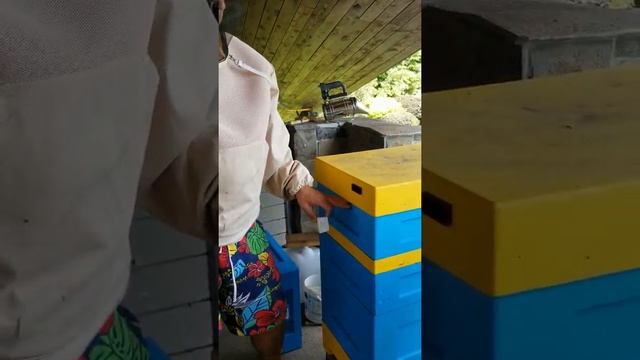 Неудачный опыт с пчелоудалителем в ульях ппу. смотреть онлайн