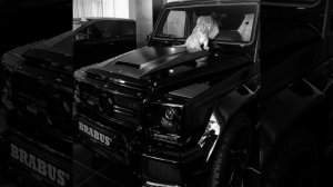 гио пика - буйно голова 5 (slowed + bass boosted)