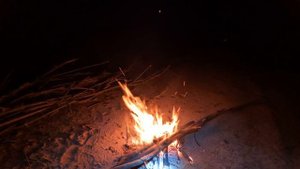 РЫБАЛКА НА ДОНКИ МОКША
