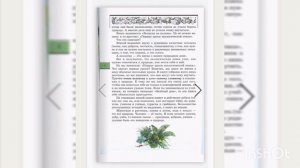 Великан на поляне. #аудиокнига #аудиокниги #рассказ #рассказы #начальнаяшкола