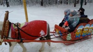 #Shorts /ЗИМНЯЯ СКАЗКА В КРАСИВОМ ЛЕСУ/КАТАНИЕ НА САНЯХ, ЗАПРЯЖЕННЫХ ЛОШАДКОЙ ПО ТРОПЕ ЗДОРОВЬЯ