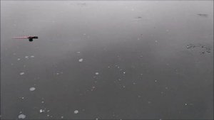 Рыбалка со льда. Ловля форели в Клёвом месте д. Савельево.