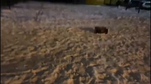 Новый Год 2022 ?❄️?? запускаем салют ?