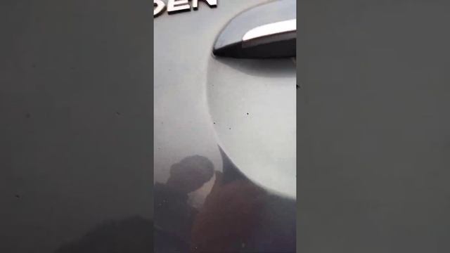 как заменить лампочку Ситроен хсара Пикассо смотреть онлайн