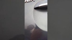 как заменить лампочку Ситроен хсара Пикассо