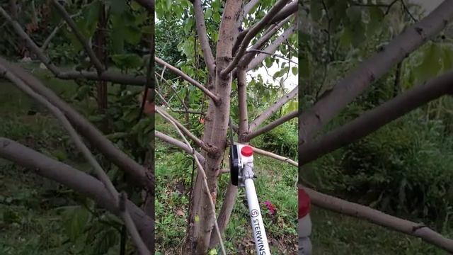 пила на тример смотреть онлайн