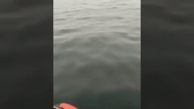 Полуо́стров Брю́са — полуостровов в Приморье.Славянка.