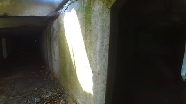 Атомные Борки . смотреть онлайн