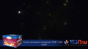 Салют для вашего праздника PLI0871