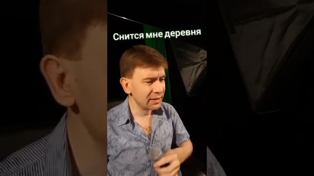 Роман Ефимов - Песня о детстве Снится мне деревня смотреть онлайн