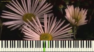 Вальс цветов - П. Чайковский (P. Tchaikovsky - Waltz of the Flowers_Nutcracker) (piano cover)