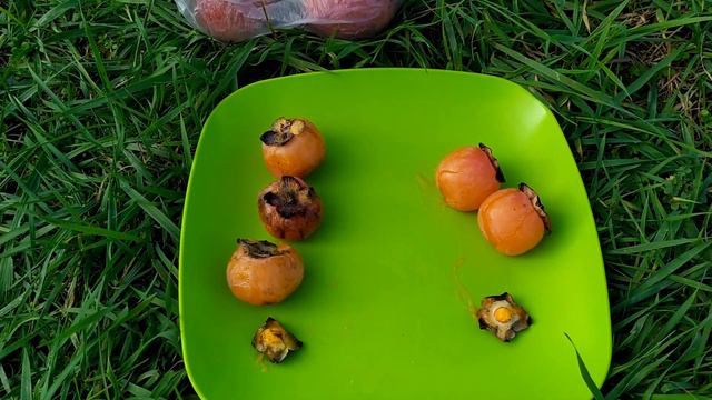 ЭКСПЕРИМЕНТ С ПЛОДАМИ ХУРМЫ. ЧАСТЬ 2. РЕЗУЛЬТАТ смотреть онлайн