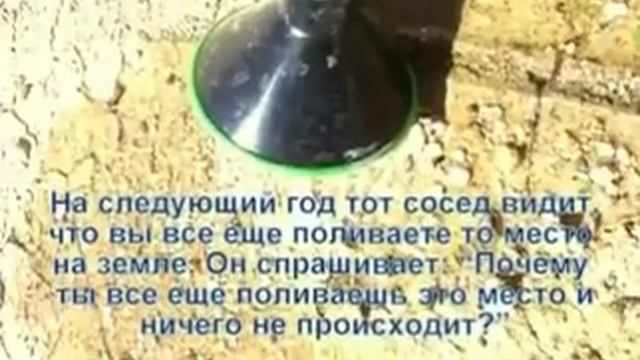 Как растет бамбук ? смотреть онлайн