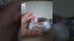 Скраб для лица в домашних условиях , Сода и Молоко .