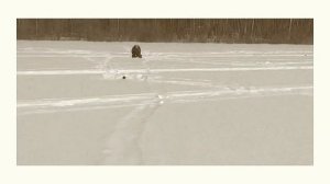 Рыбалка на жерлицы в Широбоково 2018