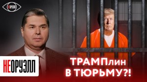 Когда посадят Трампа? 45-й президент США предстал перед судом. | НЕОРУЭЛЛ | Виталий Данилов