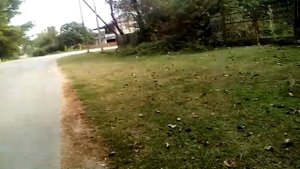 Дорога в поселке "Белая речка" Абхазия.