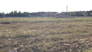 Участок № 606 в коттеджном поселке "Чернолучинский"