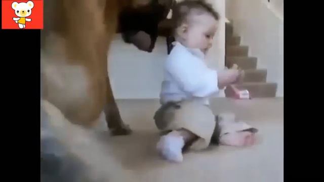 Дети и животные 6 ● Приколы с животными осень 2014 ● Dogs  Cats   Cute Babies Compilation ● Part 6 смотреть онлайн