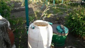 Органическое Удобрение для Винограда