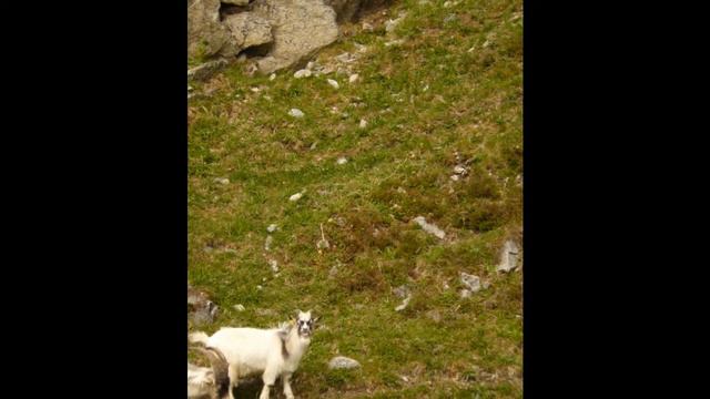 Moonlight Sonata Mvt 1 смотреть онлайн