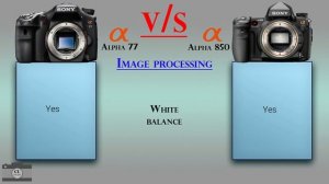 Sony Alpha 77 vs Sony Alpha 850