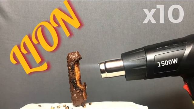 LION vs CONSTRUCTION HAIR DRYER смотреть онлайн