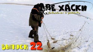 СНЯЛИ СТАРУЮ СЕТЬ. ЖЕСТЬ! Рыбалка на Яузе зимой.