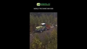 Самоходный колёсный мульчер TRE EMME модели MM180B расчистка территории в лесных хозяйствах